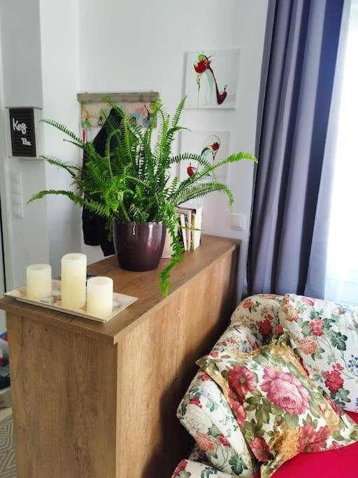 Renovated Apartment With Garden And Parking Space Peraia  Exterior photo