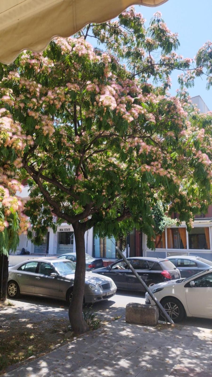 Renovated Apartment With Garden And Parking Space Peraia  Exterior photo